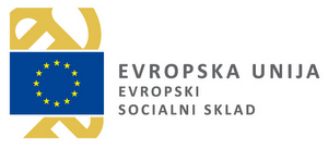 eu evropski socialni skladi